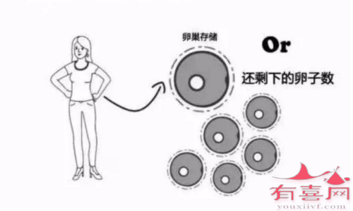 广州高龄助孕机构：体外受精所需的最低amh值是多少