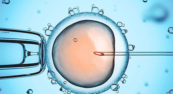 试管婴儿会移植什么样的胚胎 昆明哪些医院可以