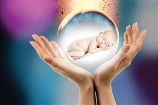 昆明双胞胎借卵费用_人工授精试管婴儿和人工授精之间有什么区别？
