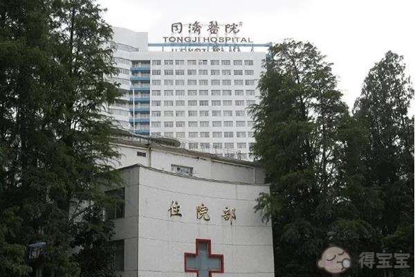 武汉助孕公司信息-2023年武汉同济医院试管婴儿程序一览 试管婴儿有哪些注意事项。