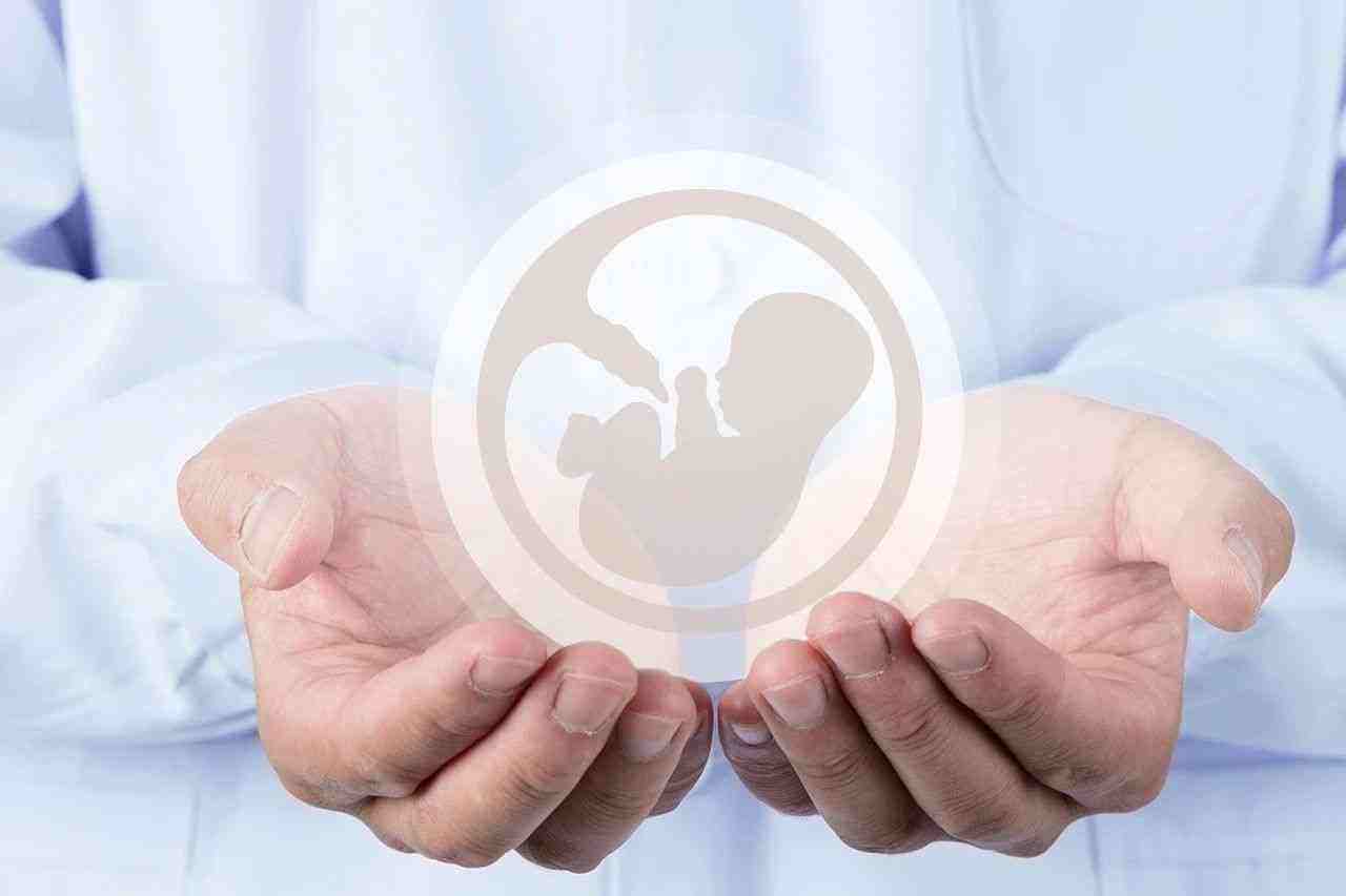 宜昌助孕网站-2023年江西省捐赠卵子受精成功率高的医院统计。