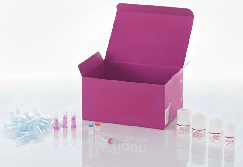 [0036-T2235086-5] Sección de tejido parafina – Tumor mamario humano: carcinoma medular de la mama – 5 láminas